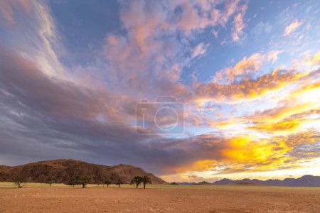 Yellow blue and pink clouds at sunset Namib Desert Namibia