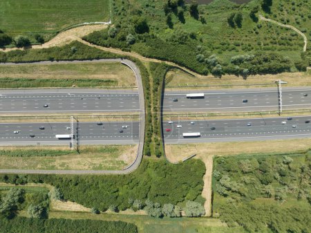 Foto de Vida silvestre pasando infraestructura en los Países Bajos. Vista aérea de drones de arriba abajo. - Imagen libre de derechos
