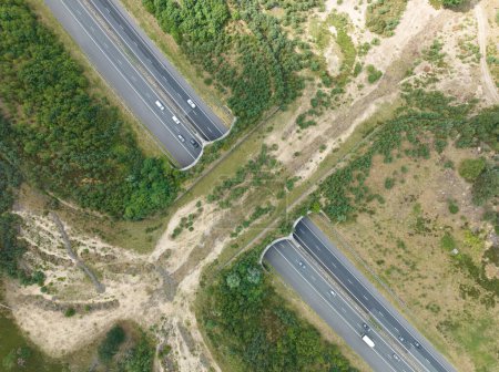 Photo for Top down view on eco passage way, aerial drone view. Highway and animal crossing. - Royalty Free Image