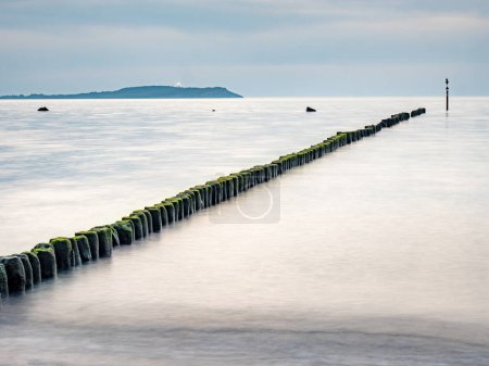 Photo for Hiddensee island with Lighthouseand mossy breakwater poles in smooth water of Baltic sea within windless. Ruegen island. Sandy beach wit algae, stones and shells. - Royalty Free Image