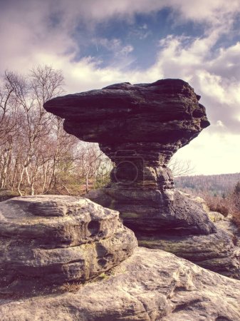 Popular mushroom icon of rocky formation in Tisa Rocks. Czech Republic sandstone mountains.  Formation in chalk sandstone walls