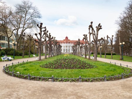 Téléchargez les photos : Fleurs dans le parc de la célèbre colonnade autour des sources minérales. Carlsbad, Karlovy Vary, Tchéquie - en image libre de droit