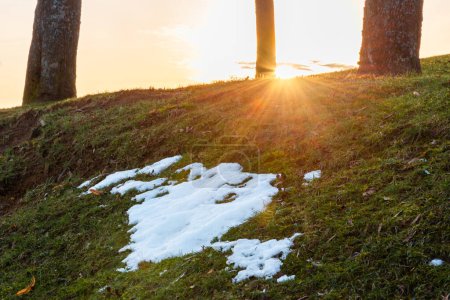 Téléchargez les photos : Paysage printanier avec neige fondante et taches dégelées au début du printemps au coucher du soleil par une journée nuageuse en forêt. Changement de saison. - en image libre de droit