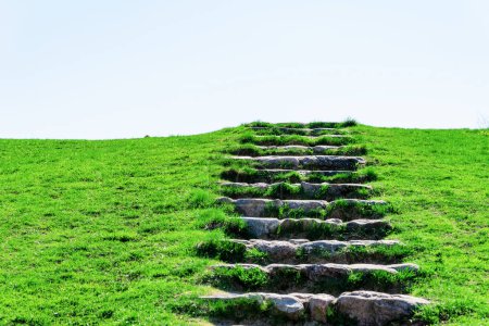 Ladder to the heaven.Stone stairs path to the blue sky.Sunny day.Next to the summer grass is green.