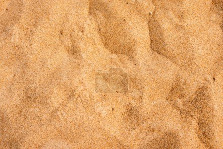 Photo for Sand texture.Quartz sand Natural background.Sandy beach for background.Top view.Close-up. - Royalty Free Image