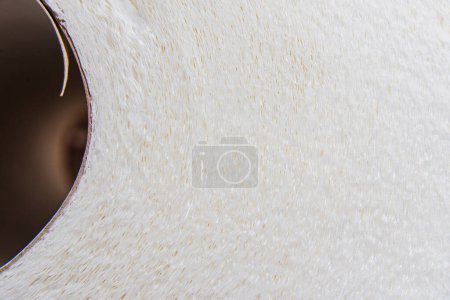 toilet paper white with patterns macro closeup background.