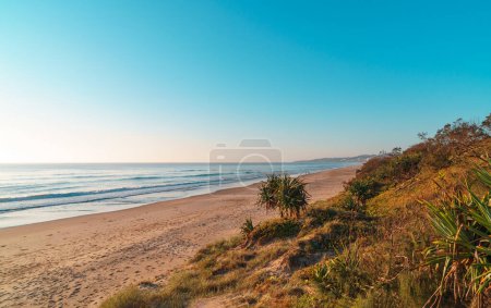 Photo for Beautiful wide panorama of the Peregian Beach nestled against the dunes of a pristine white sand beach with surfing breaking waves on the Sunshine Coast, Queensland, Australia. Spectacular landscape of the Pacific Ocean during sunrise. - Royalty Free Image