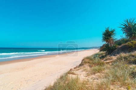 Téléchargez les photos : Beautiful wide panoramic view of the Peregian beach with rolling waves of Pacific ocean, Sunshine Coast, Queensland, Australia. - en image libre de droit