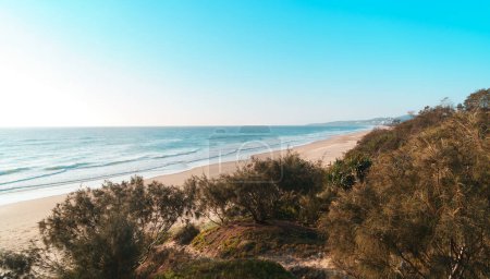 Photo for Beautiful wide panorama of the Peregian Beach nestled against the dunes of a pristine white sand beach with surfing waves crushing on the shore. Sunshine Coast, Queensland, Australia. Spectacular landscape of the Pacific Ocean on a sunny day. - Royalty Free Image