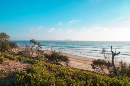 Photo for Amazing wide panorama of Peregian Beach on a sunny day. Spectacular beach background with turquoise water waves crushing on the shore visible from the hill. Beautiful travel destination. Noosa, Sunshine Coast, Australia. - Royalty Free Image