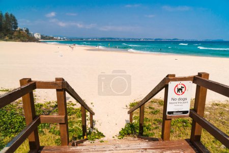 Téléchargez les photos : Escaliers en bois menant à la plage avec des vagues océaniques écrasantes en arrière-plan. Vue panoramique sur la plage de Rainbow Bay, l'une des plages les plus populaires de la Gold Coast, Queensland, Australie. - en image libre de droit