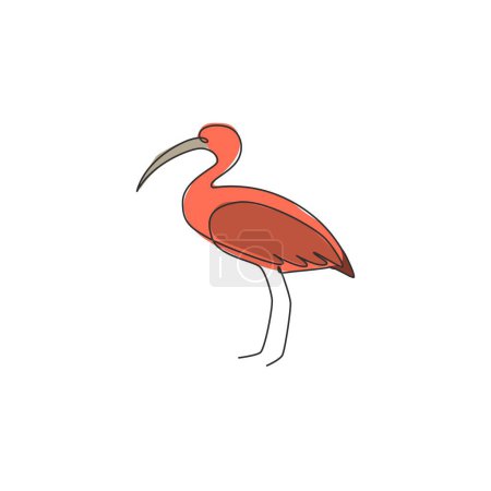 Téléchargez les illustrations : Un dessin de ligne continue de mignon ibis pour l'identité du logo de l'entreprise. Concept de mascotte d'oiseau pattes longues pattes pattes pour l'icône du zoo national. Illustration graphique vectorielle de dessin monoligne moderne - en licence libre de droit