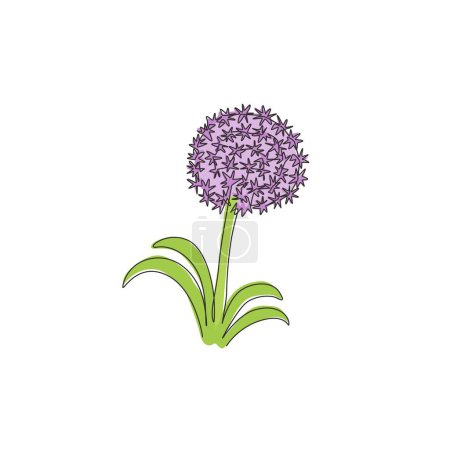Illustration for Single continuous line drawing beauty fresh allium giganteum for home decor wall art poster print. Decorative globemaster flower for floral card frame. Modern one line draw design vector illustration - Royalty Free Image