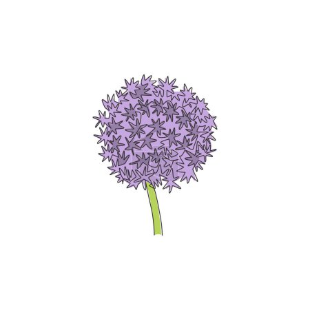 Illustration for One continuous line drawing beauty fresh allium globemaster for home art wall decor poster print. Decorative giant onion flower concept for greeting card. Single line draw design vector illustration - Royalty Free Image