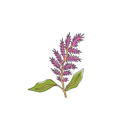 Illustration for One continuous line drawing of beauty fresh amaranthus for home wall decor ar poster print. Decorative amaranth flower concept for wedding invitation card. Single line draw design vector illustration - Royalty Free Image
