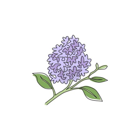 Illustration for One continuous line drawing beauty fresh syringa vulgaris for home decor wall art poster print. Printable decorative lilac flower for card ornament. Modern single line draw design vector illustration - Royalty Free Image