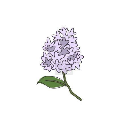 Illustration for One continuous line drawing beauty fresh syringa vulgaris for garden logo. Printable decorative lilac flower concept for home decor wall art poster print. Single line draw design vector illustration - Royalty Free Image
