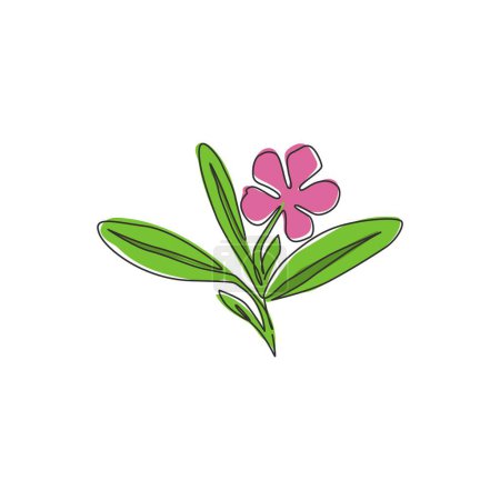 Illustration for Single continuous line drawing of beauty fresh periwinkle for garden logo. Printable decorative vinca flower concept for home wall decor poster art. Modern one line draw design vector illustration - Royalty Free Image