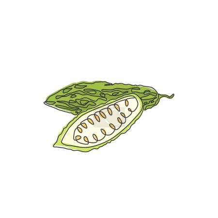 Illustration for Single continuous line drawing of whole and sliced healthy organic bitter gourd for garden logo identity. Fresh Indonesian pare concept for veggie icon. Modern one line draw design vector illustration - Royalty Free Image