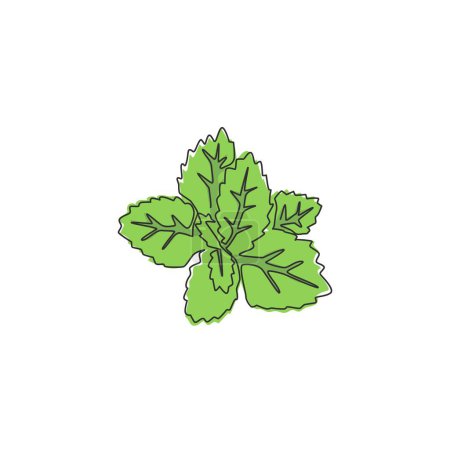 Una sola línea de dibujo de hojas de menta orgánica saludable para la identidad del logotipo de la granja. Concepto de planta fresca lamiaceae para icono de la plantación. Moderna línea continua dibujo gráfico diseño vector ilustración