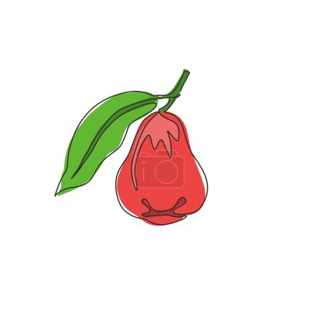 Illustration for One single line drawing of whole healthy organic bell fruit for orchard logo identity. Fresh rose apple fruitage concept for fruit garden icon. Modern continuous line draw design vector illustration - Royalty Free Image