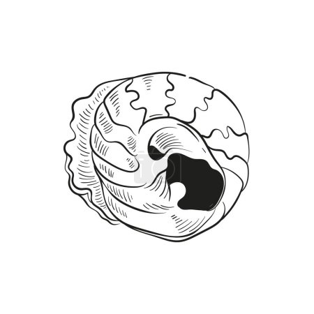 Hand-drawn, engraved line illustrations of realistic mollusk shells in various forms. Perfect for marine-themed designs. Black and white sketches on a navy peony background, including starfish. Ideal for undersea-themed projects