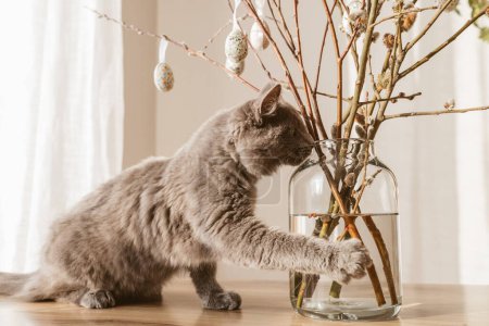 Foto de Un lindo gato gris ayuda a decorar la casa para Pascua. Gatito junto a un ramo de sauce decorado con huevos de Pascua - Imagen libre de derechos