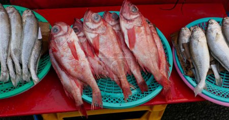 Téléchargez les photos : Plat en plastique de vivaneau rouge et d'autres poissons exposés sur le marché local sud-coréen. Photo de haute qualité - en image libre de droit