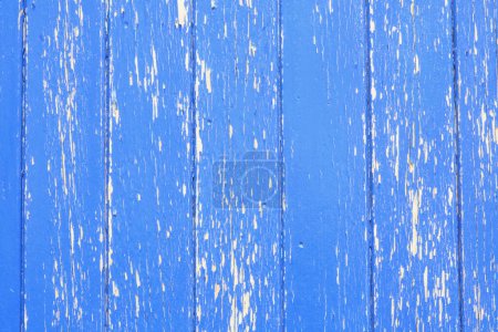 Photo for Bright blue vertical panelled wood with peeling paint and space for copy. High quality photo - Royalty Free Image