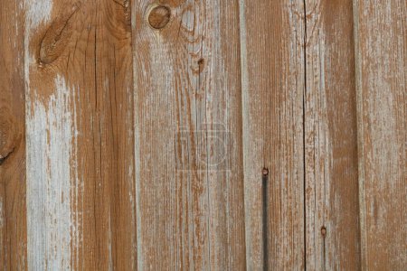 Photo for Worn brown stained panelled wood or fence with peeling paint and space for copy. High quality photo - Royalty Free Image