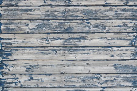 Photo for Blue panelled wooden fence or shed with peeling paint and space for copy. High quality photo - Royalty Free Image