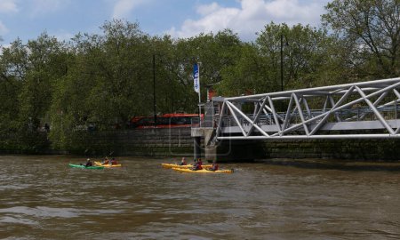 Photo for 3 June 2023 - Westminster, London, UK: Millbank Pier on River Thames with rowers in yellow and green canoes in foreground. High quality photo - Royalty Free Image