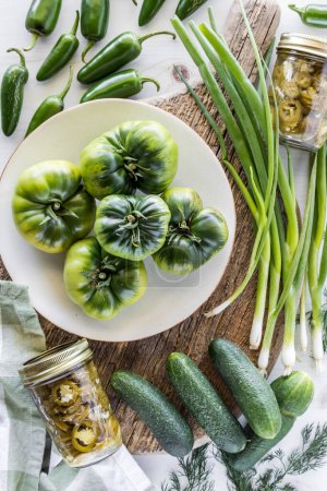 Foto de Vista de arriba hacia abajo de todas las verduras cosechadas en verde con frascos de rodajas de chile jalapeño en conserva. - Imagen libre de derechos