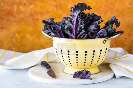 Photo for A close up of fresh purple kale in a light yellow colander against an orange background. - Royalty Free Image