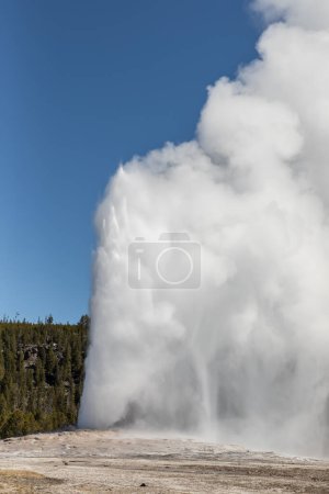 A view of Old Faithful geyser in full eruption at Yellowstone National Park. 