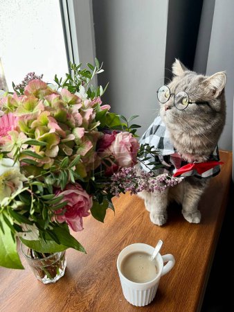 Photo for Scottish straight gray cat with a glasses, shirt and a red tie at the holiday looks like a gentleman. Domestic Pet in apartment looks out the window with coffee , flowers, bouquet - Royalty Free Image