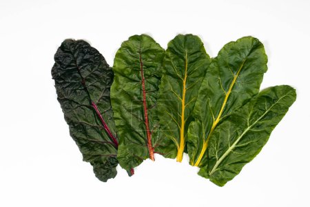 Photo for Swiss chard leaves isolated on a white background - Royalty Free Image