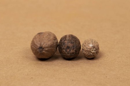 Photo for Whole nutmeg seeds on a brown paper background - Royalty Free Image