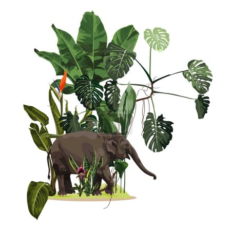 Sezon Streszczenie Natura Baner Tło. Rośliny w dżungli, zwierzę słonia z egzotycznymi kwiatami. Egzotyczny element karty z liśćmi tropikalnymi.