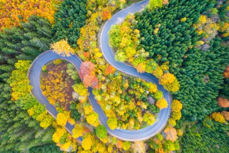Winding forest asphalt road on colorful autumn day. Serpentine in natural landscape. Aerial view from drone.