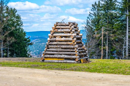 Ein Holzstapel, der hell auf einer Wiese brennt, vorbereitet für das traditionelle tschechische Fest der Hexenverbrennung - die Filip- und Jakobsnacht. Tschechien