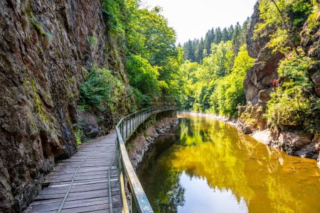 Camino de puente de madera sobre el río Jizera. Rieger Trail entre Semily y Spalov. Chequia