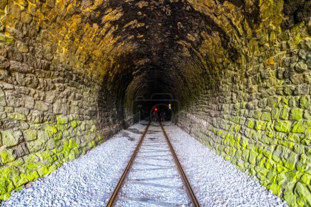 Une vue captivante à l'intérieur d'un tunnel ferroviaire en pierre, avec des voies menant vers une lumière lointaine. La teinte verdâtre sur les murs ajoute une touche de mystère