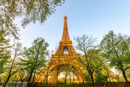 The iconic Eiffel Tower is bathed in the warm glow of the setting sun, surrounded by the lush greenery of spring trees. This captivating scene captures a tranquil and romantic atmosphere, showcasing