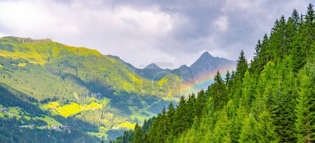 A vibrant rainbow arcs through the mist above a dense, green forest with mountain peaks in the distance.