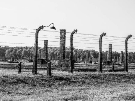 Eerie remnants of Auschwitz Birkenau concentration camp fences and guard posts stand under an overcast sky, reflecting a solemn chapter of history. Poland. Black and white photography.