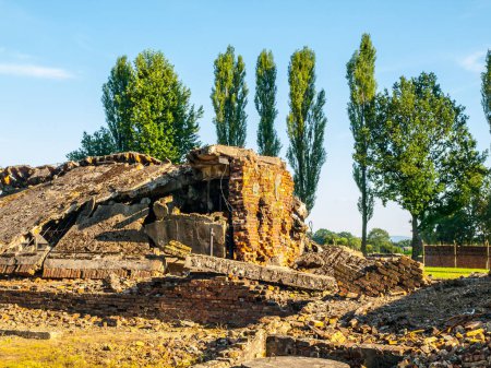 Zerbröckelnde Überreste einer Gaskammer im Konzentrationslager Auschwitz-Birkenau werfen warmes Licht auf den historischen Ort der Erinnerung und Reflexion. Polen