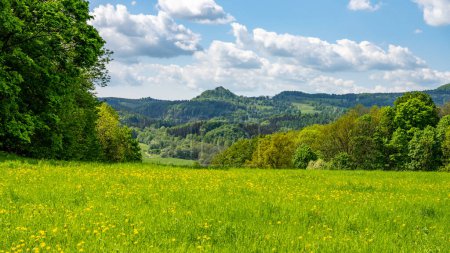Im Vordergrund eine Wiese mit üppigen Bäumen, in der Ferne das majestätische Lausitzer Gebirge unter wolkenverhangenem Sommerhimmel. Tschechien