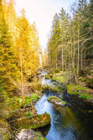 Der Fluss Kamenice schlängelt sich durch eine grüne, in Sonnenlicht getauchte Schlucht im Nationalpark Böhmische Schweiz. Tschechien