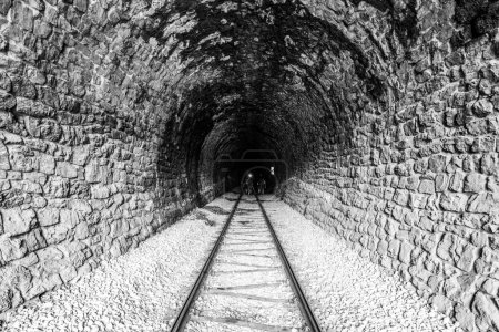 A captivating view inside a stone railway tunnel, with tracks leading towards a distant light. The greenish hue on the walls adds a touch of mystery. Black and white image.